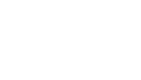 Chess Trainer logo